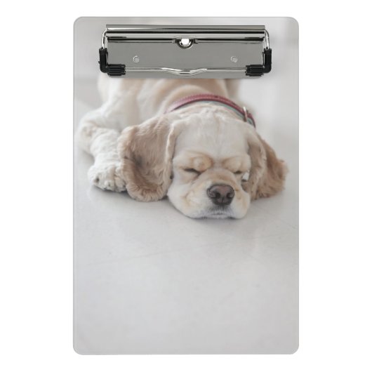 Mini Porte-bloc Sommeil de chien de cocker (Devant)