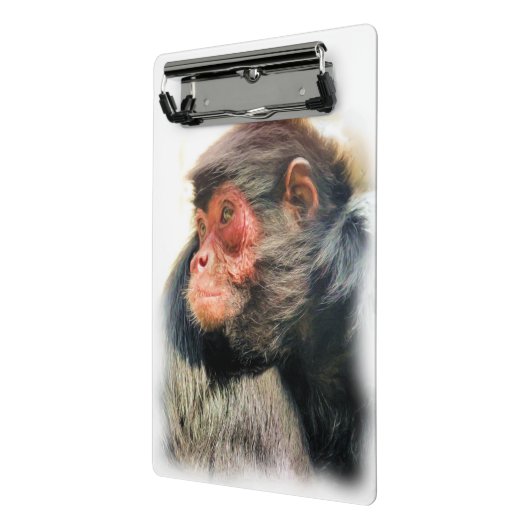 MINI PORTE-BLOC SPIDER MONKEY (Angle2)