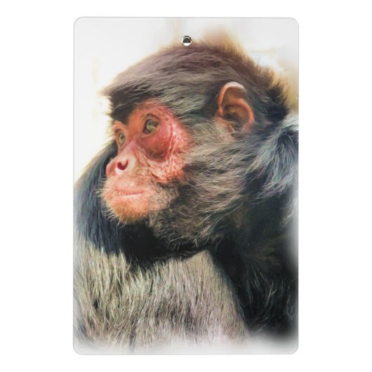 MINI PORTE-BLOC SPIDER MONKEY (Dos)