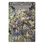 MINI PORTE-BLOC SPRING WILLOW (Devant)