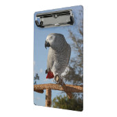 Mini Porte-bloc Superbe perroquet gris africain (Angle2)