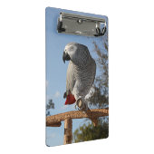 Mini Porte-bloc Superbe perroquet gris africain (Incliné)