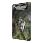 Mini Porte-bloc Tidi my Bird le Parus Major (Angle2)