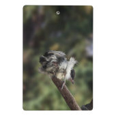 Mini Porte-bloc Tidi my Bird le Parus Major (Dos)