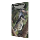 Mini Porte-bloc Tidi my Bird le Parus Major (Angle2)