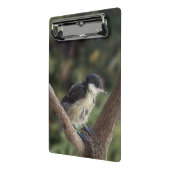 Mini Porte-bloc Tidi my Bird le Parus Major (Angle2)