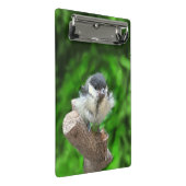 Mini Porte-bloc Tidi my Bird le Parus Major (Incliné)