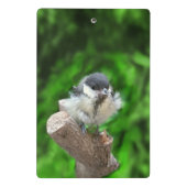 Mini Porte-bloc Tidi my Bird le Parus Major (Dos)