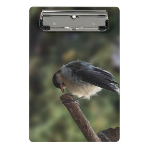 Mini Porte-bloc Tidi my Bird le Parus Major