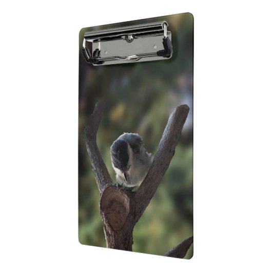 Mini Porte-bloc Tidi my Bird le Parus Major (Angle2)