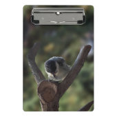 Mini Porte-bloc Tidi my Bird le Parus Major (Devant)