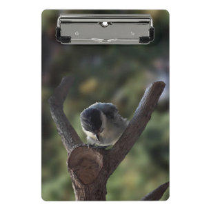 Mini Porte-bloc Tidi my Bird le Parus Major