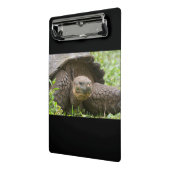 Mini Porte-bloc Tortue géante (Angle2)
