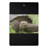 Mini Porte-bloc Tortue géante (Dos)