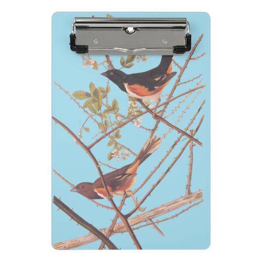 Mini Porte-bloc Towee Bunting Audubon Black and Orange Song Birds (Devant)