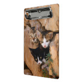 Mini Porte-bloc Trois mignons Curious Chat Kittens drôle Photo (Angle2)