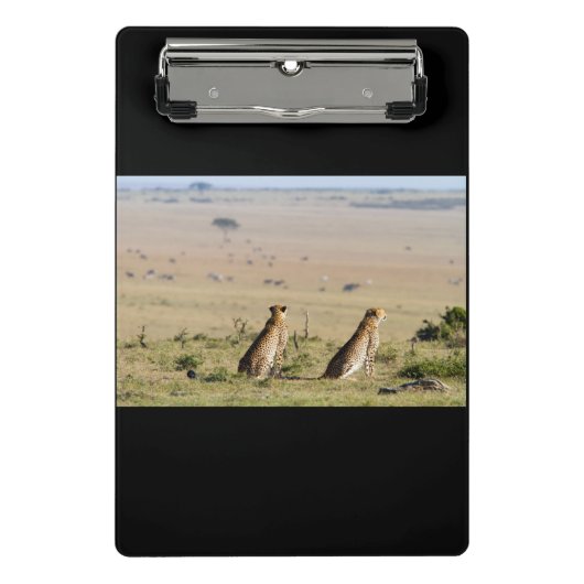 Mini Porte-bloc Two cheetahs on the look out (Devant)