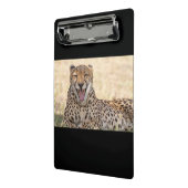 Mini Porte-bloc Yawning Cheetah (Angle2)