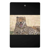 Mini Porte-bloc Yawning Cheetah (Dos)