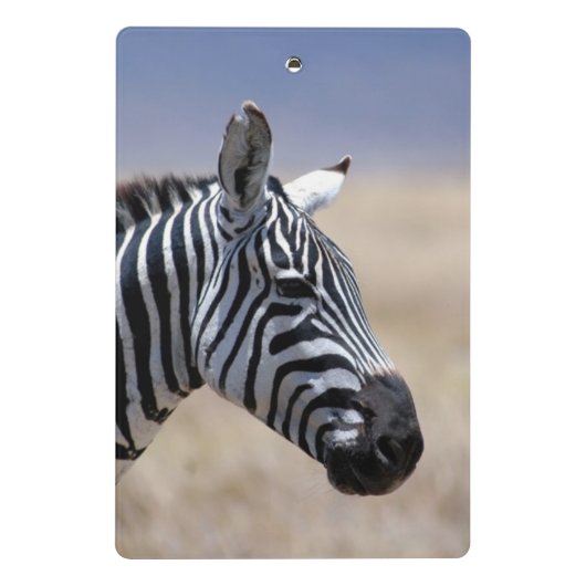 Mini Porte-bloc Zèbre (Dos)