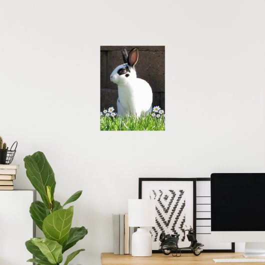 Mini rex met mazen poster (Thuiskantoor)