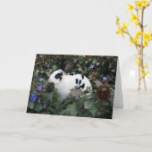 Mini Rex Rabbit Carte de voeux (Fleur jaune)