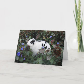 Mini Rex Rabbit Carte de voeux