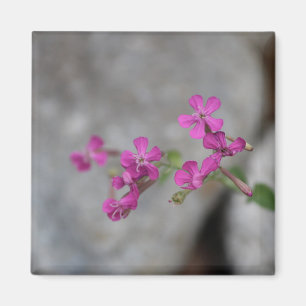 Mini Roze Bloemen met stenen Magneet