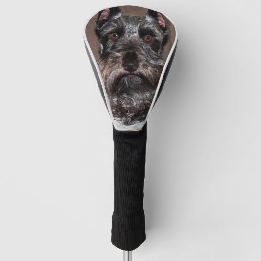 mini schnauzer 2 golfheadcover (Voorkant)