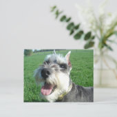 Mini Schnauzer Briefkaart (Staand voorkant)