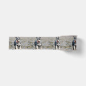 mini schnauzer grosgrain lint (Voorkant)