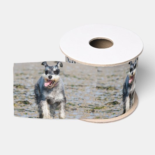 mini schnauzer grosgrain lint (Spoel)