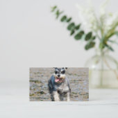 mini schnauzer visitekaartje (Staand voorkant)