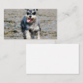 mini schnauzer visitekaartje (Voorkant / Achterkant)