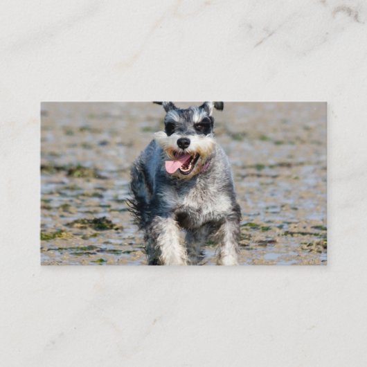 mini schnauzer visitekaartje (Voorkant)