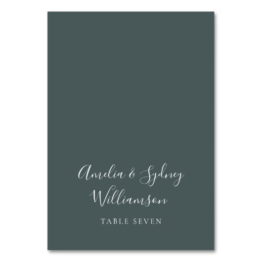 Mini-Script Turquoise Nom personnalisé Carte de pl (Par défaut)