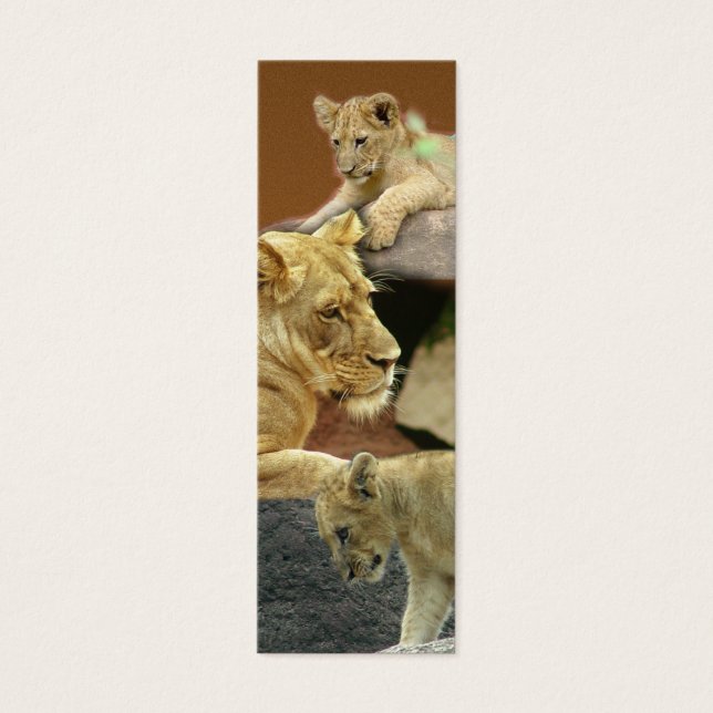 Mini Signet Lioness et Cubs / (Devant)
