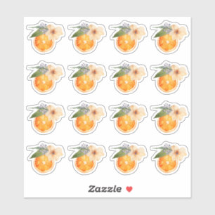 Mini Stickers Orange Blossom Watercolor