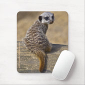 Mini tapis de souris Kat (Avec souris)