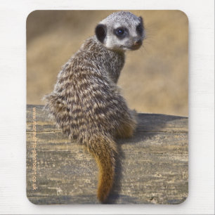 Mini tapis de souris Kat