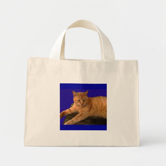 Mini Tote Bag Chat 8, Fourre-tout (Devant)