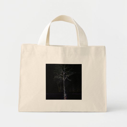 Mini Tote Bag Côté foncé 3 tcnm (Devant)