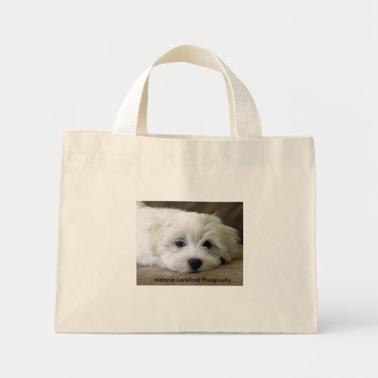Mini Tote Bag Les yeux de Chien (Devant)