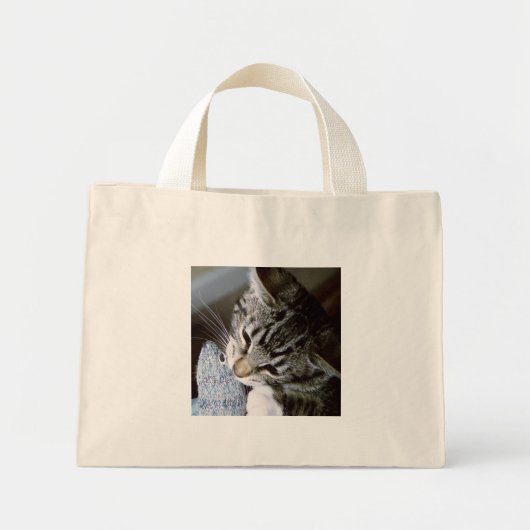 Mini Tote Bag nancy with souris (Devant)