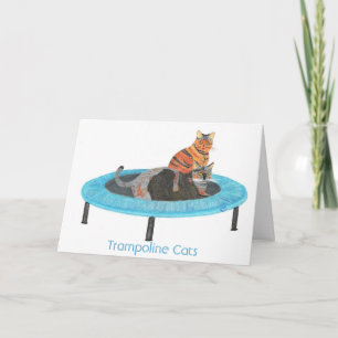 Mini Trampoline Cats 2 Kaart