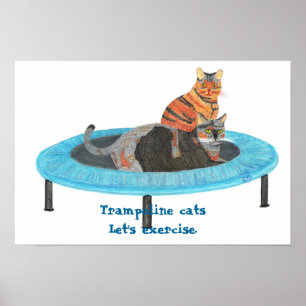 Mini Trampoline Katten, Laten we oefenen Posters