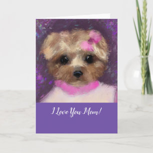 MINI YORKIE POO KAART