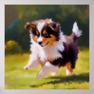 Miniature American Shepherd Dog Poster