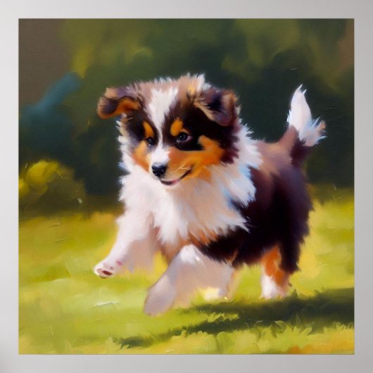 Miniature American Shepherd Dog Poster (Voorkant)
