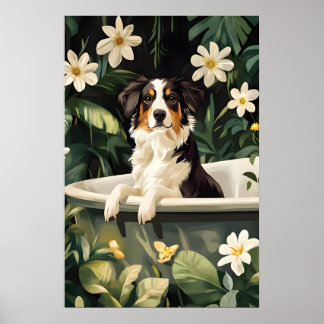 Miniature American Shepherd In Badposter Poster
